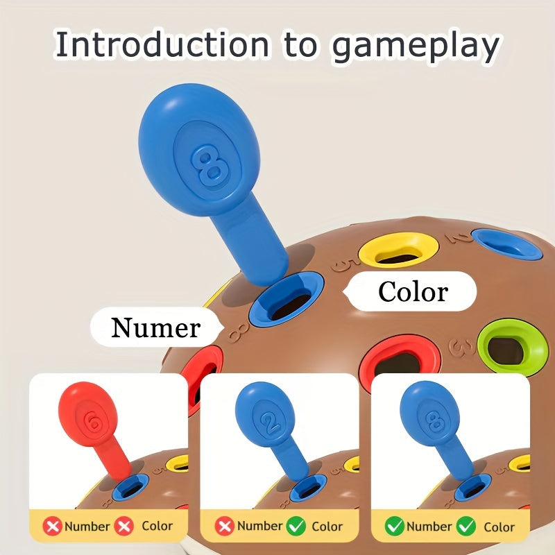 Riccio Educativo Giocattolo - Impara e Gioca