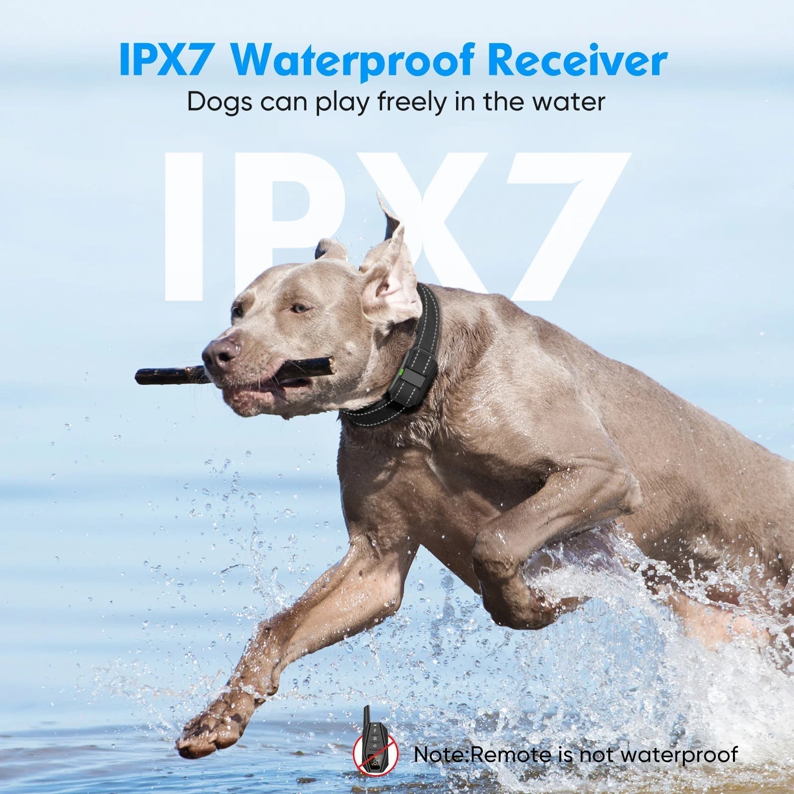 Collare Elettronico per Addestramento Cani – Antibark e Lunga Portata