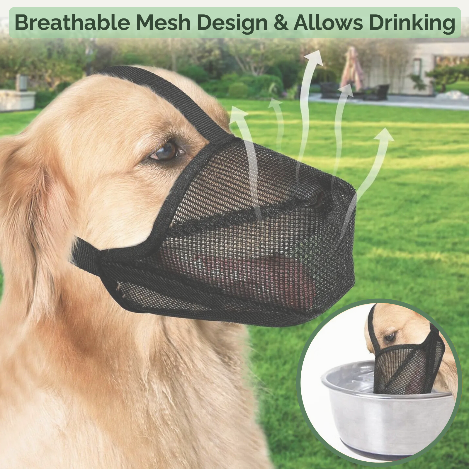 AirMesh Muzzle – Morso Morbido e Confortevole per Cani