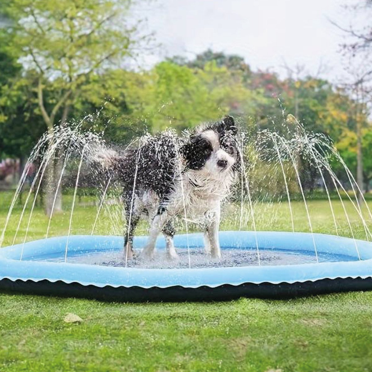 Pavimento Splash per Cani – Tappeto da Gioco Rinfrescante con Fontana