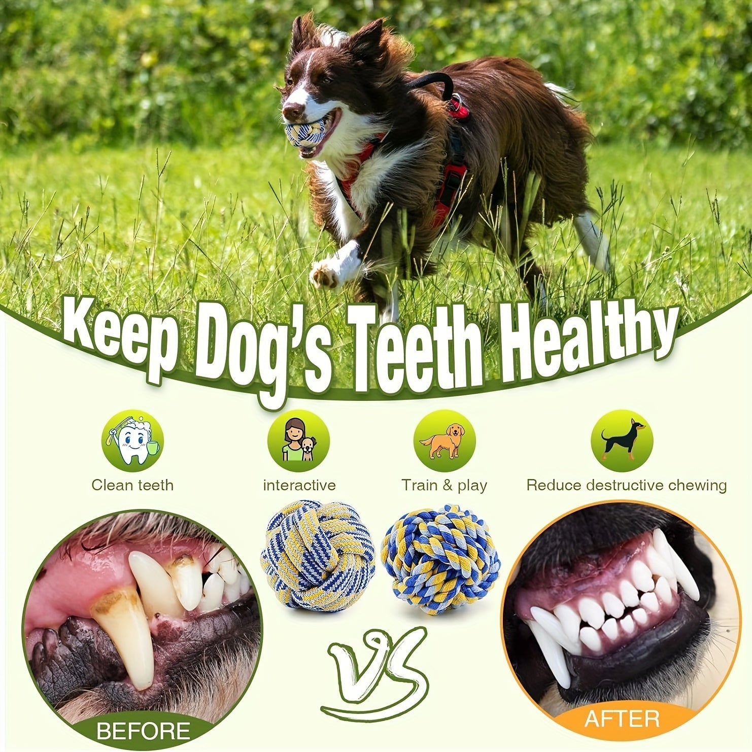 Set di Giocattoli per Cani in 4 Pezzi – Ideale per Masticare, Rosicchiare e Giocare