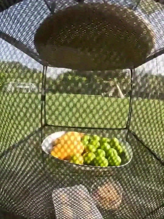 Ripiano da Campeggio a 3 Strati – Sostenibile, Compatto e Pratico per Campeggio e Attività All'Aperto