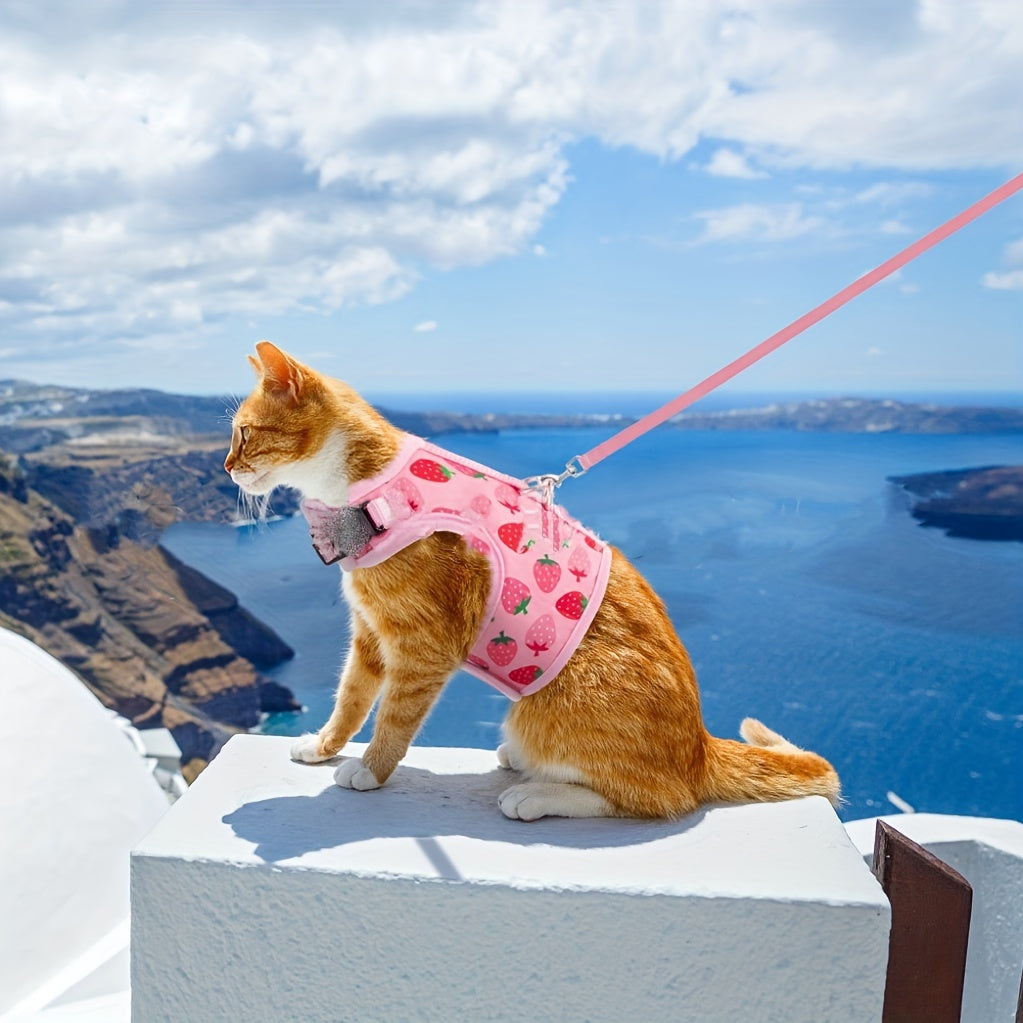 KittyComfort Set di Imbracature - Per Passeggiate Confortevoli e Avventure