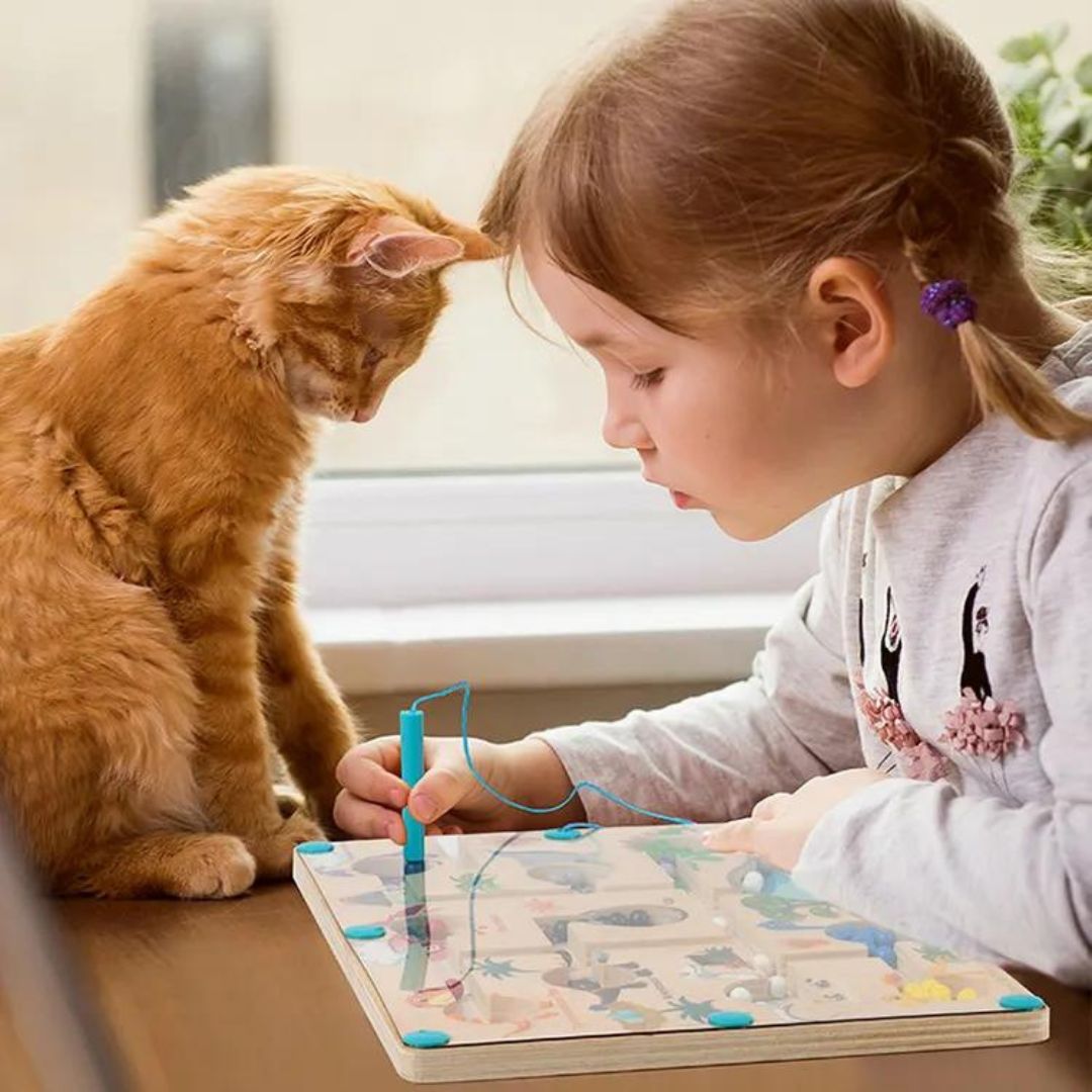 Dinosauri Magnetici Educativi Labirinto - Impara Colori e Numeri