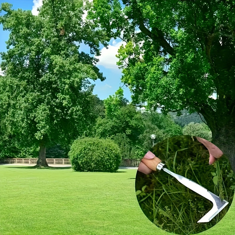 Diserbante per Strade - Efficiente e Maneggevole per Lavori Veloci