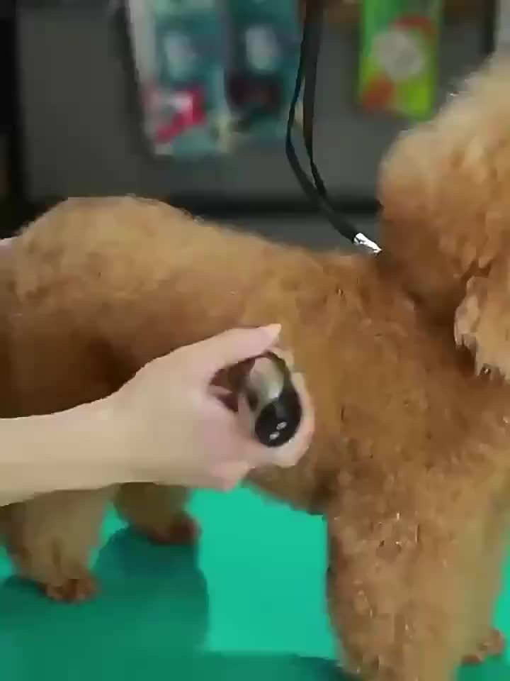 Rasatore Wireless per Animali Domestici – Ricaricabile via USB e Silenzioso per Cani e Gatti