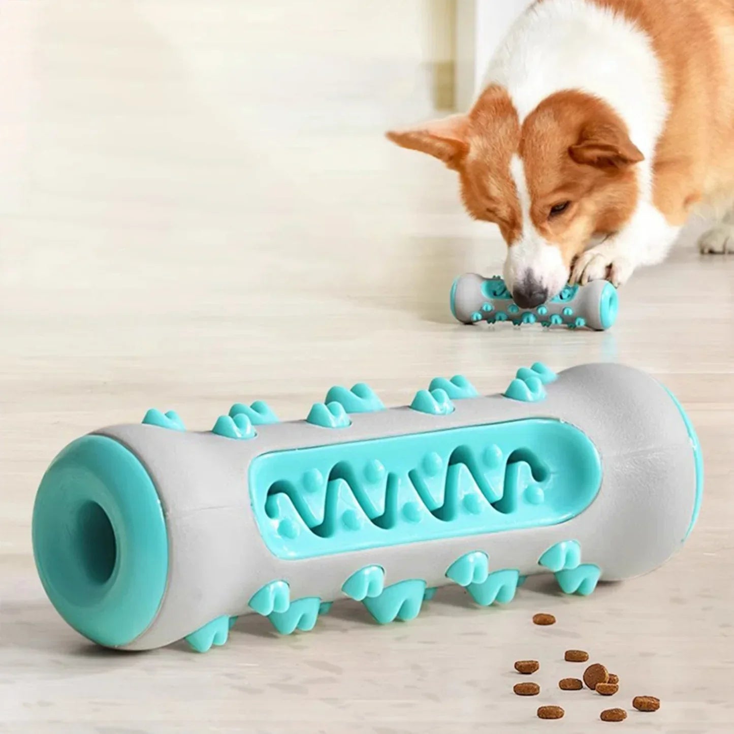 Gioco a Rullo per Cani – Divertimento e Ricompensa in Uno