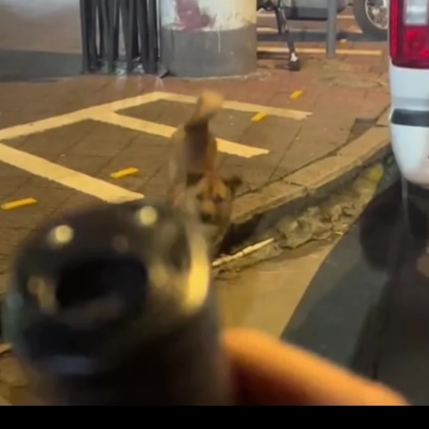 SilentGuard Ultrasone Dissuasore per cani – Silenzioso e Controllato