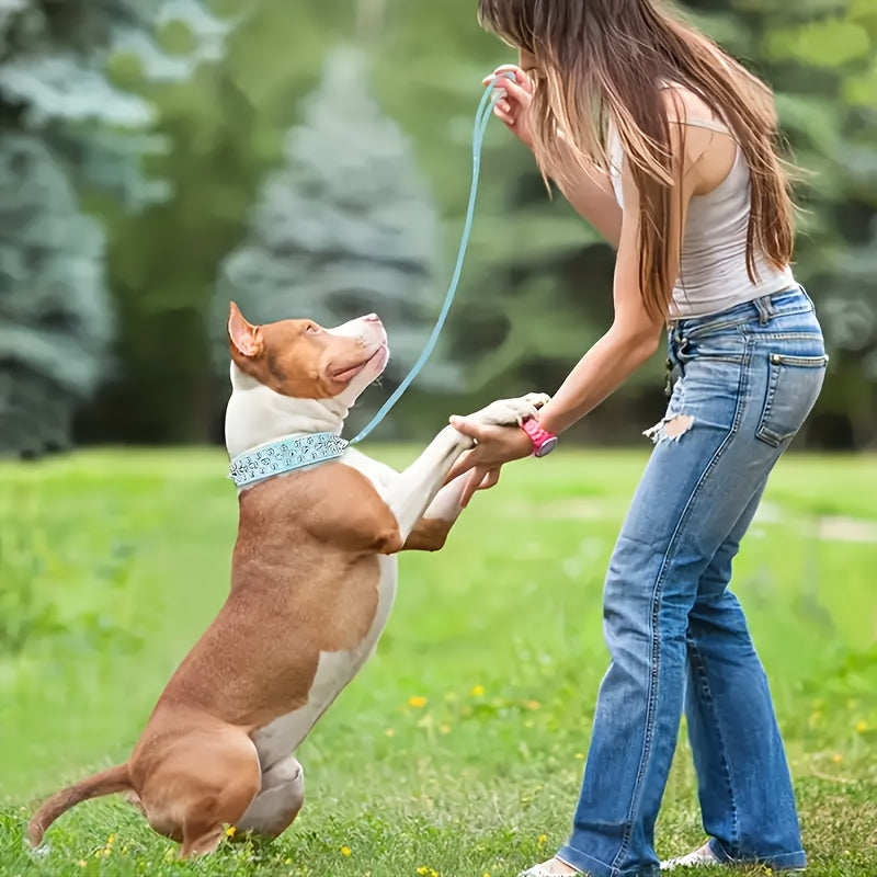 Collare per Cani Regolabile con Spikes - Robusto e Sicuro per Cani di Grandi Dimensioni