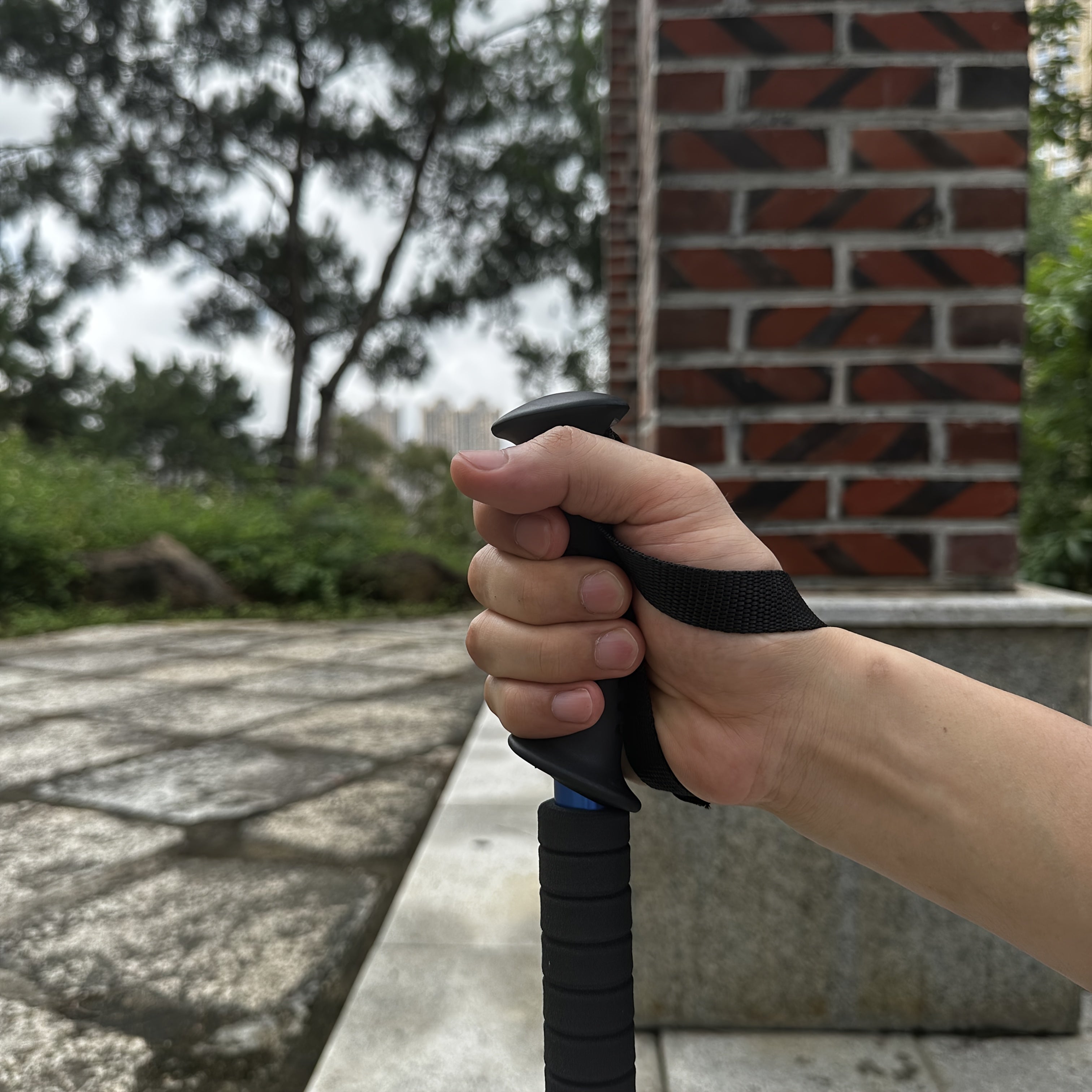 Bastoni da Trekking Leggeri in Alluminio – Regolabili e Assorbenti per Escursionisti Avventurosi