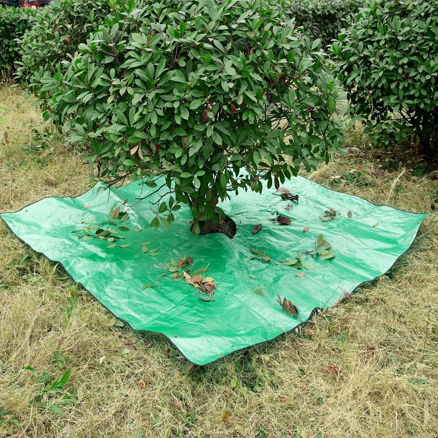 Telo da Giardino Grande con Fessura per Albero – Impermeabile, Riutilizzabile e Perfetto per Potature
