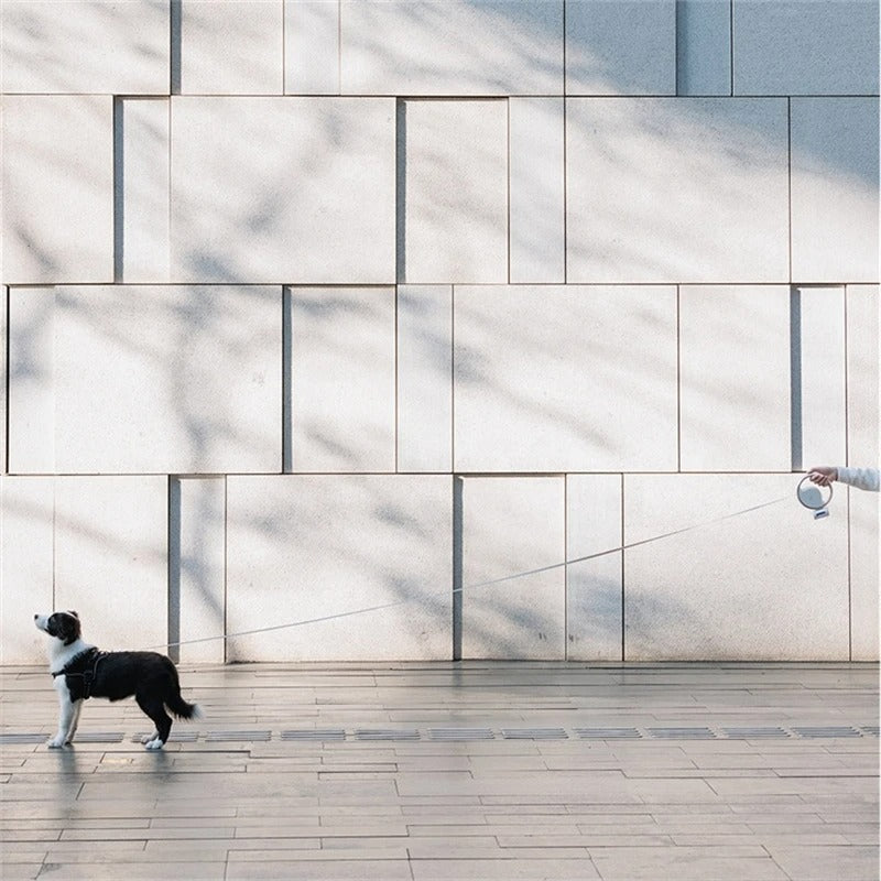 Guinzaglio Automatico per Cani LED – Impugnatura Ergonomica & Luce di Sicurezza