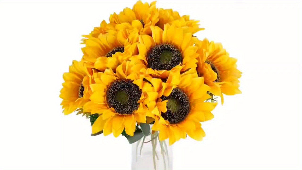 Set di 11 Girasoli Vivaci – Perfetto per Autunno, Matrimoni e Decorazioni da Giardino