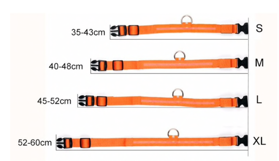 DogSafe Pro - Collare LED per cani - Sentiti al sicuro e alla moda durante le passeggiate