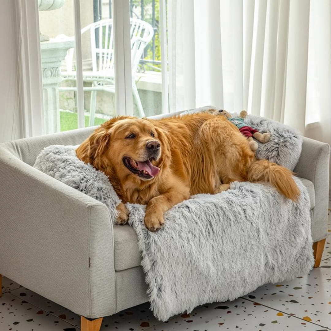 DogComfort Deluxe Plaid - Lusso e Protezione per i tuoi mobili