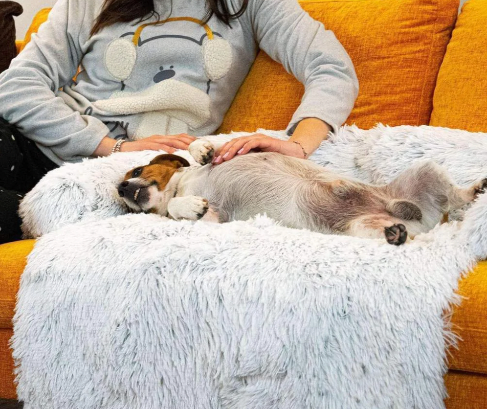DogComfort Deluxe Plaid - Lusso e Protezione per i tuoi mobili