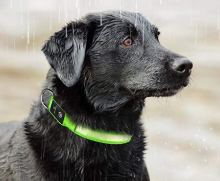 DogSafe Pro - Collare LED per cani - Sentiti al sicuro e alla moda durante le passeggiate