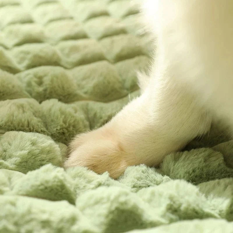 PetEase - Letto per Cani Confortevole