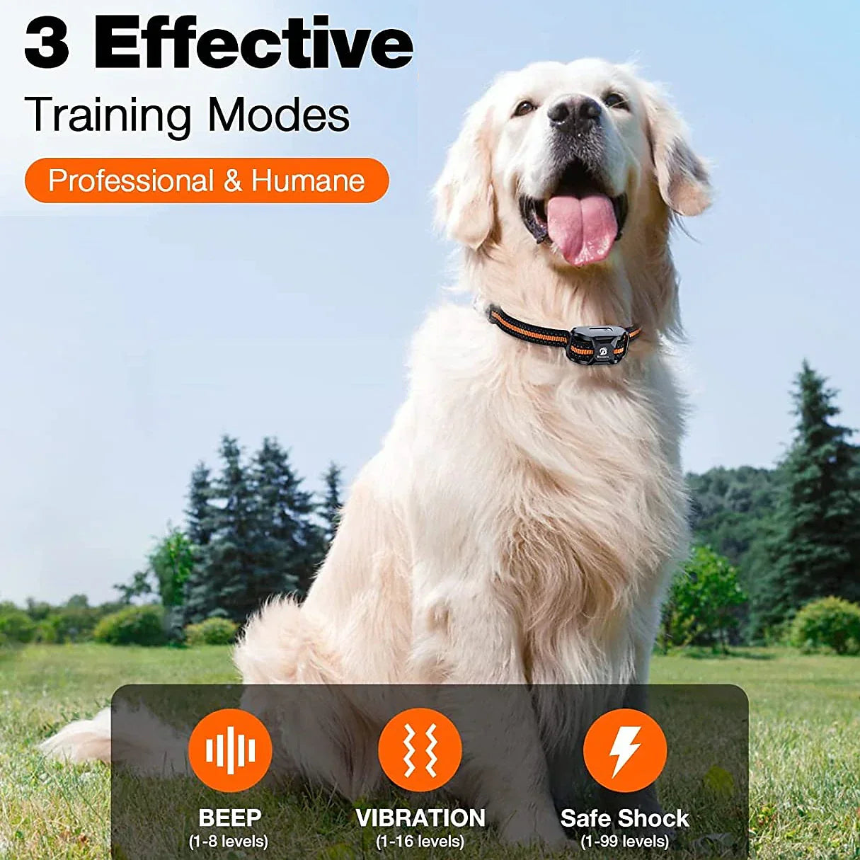 Collare di Addestramento con Controllo Massimo - Per un Addestramento Efficace