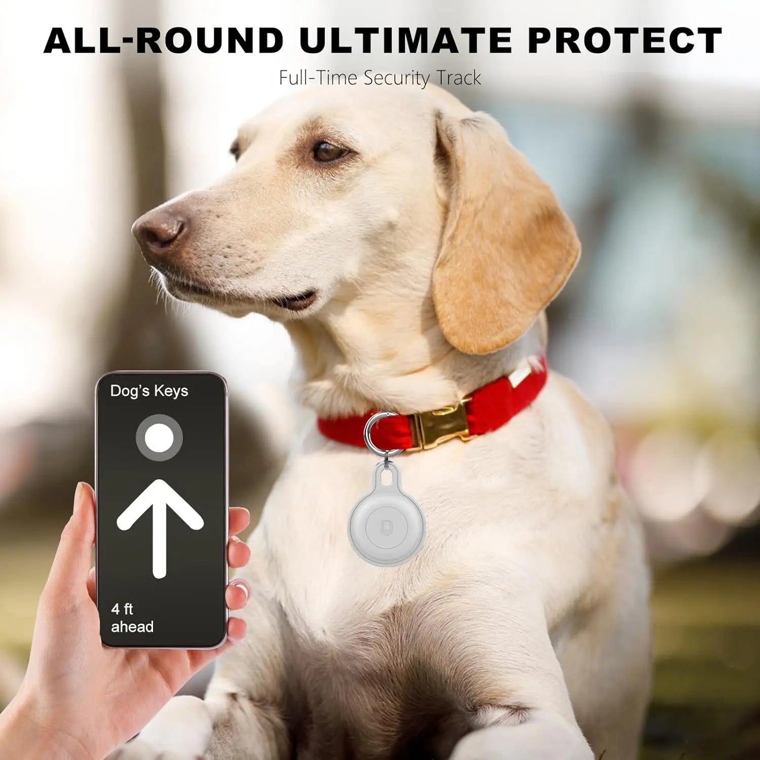 Ziggy Tracker per Animali Domestici – Per Avventure Senza Preoccupazioni