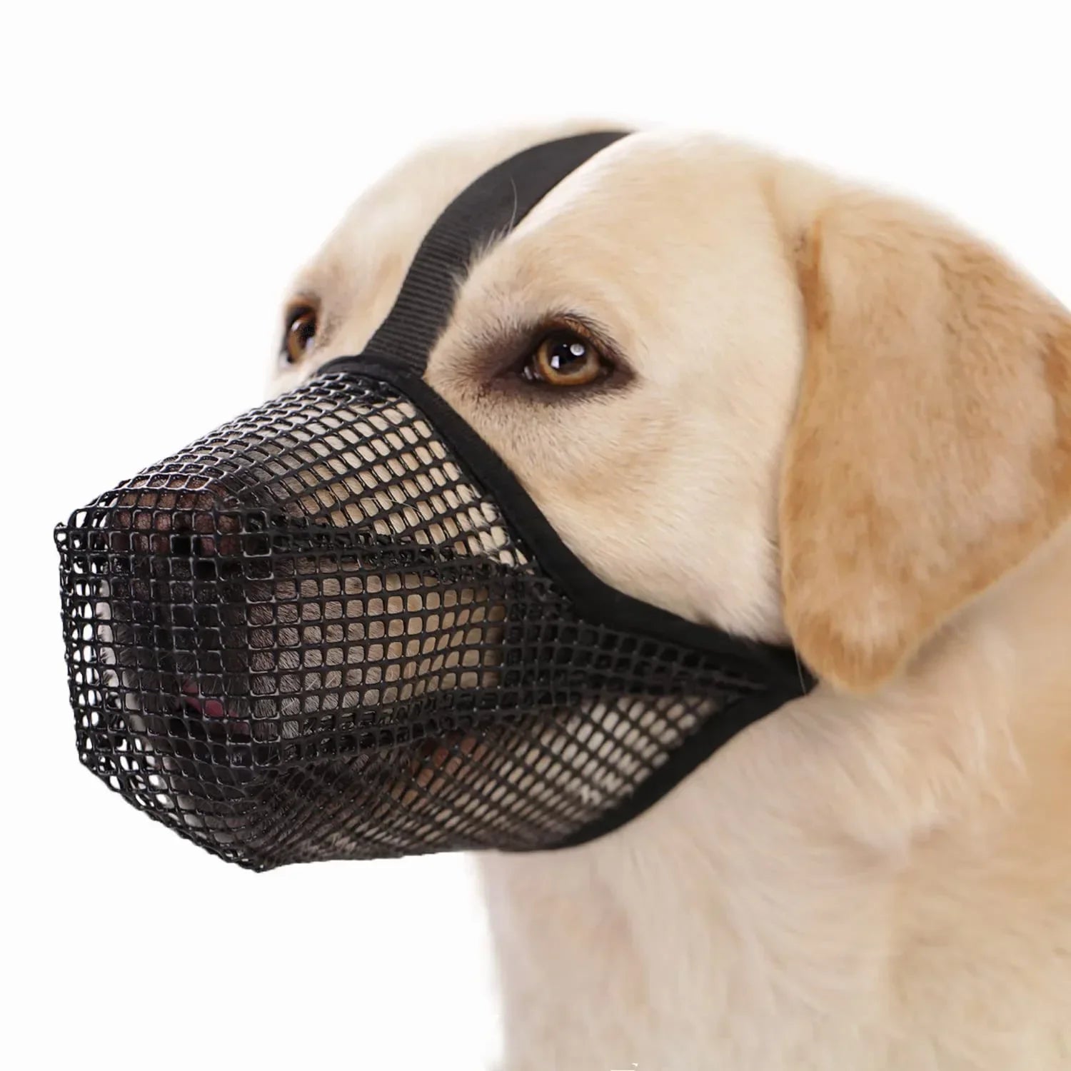 AirMesh Muzzle – Morso Morbido e Confortevole per Cani