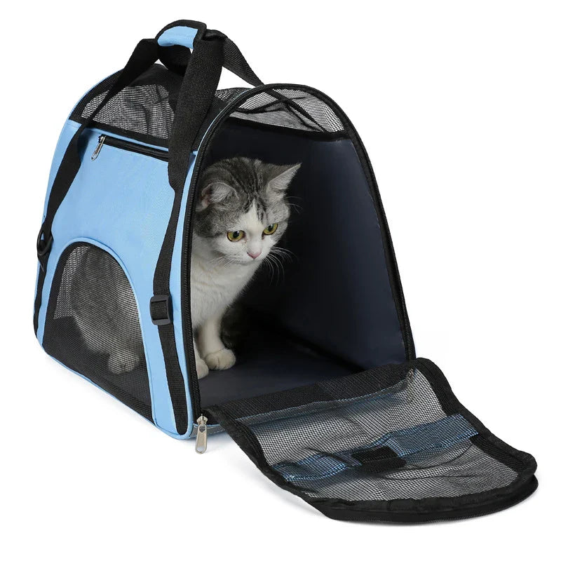 PawVoyager Borsa da Viaggio – Comoda e Sicura in Viaggio con il Gatto o Piccolo Cane