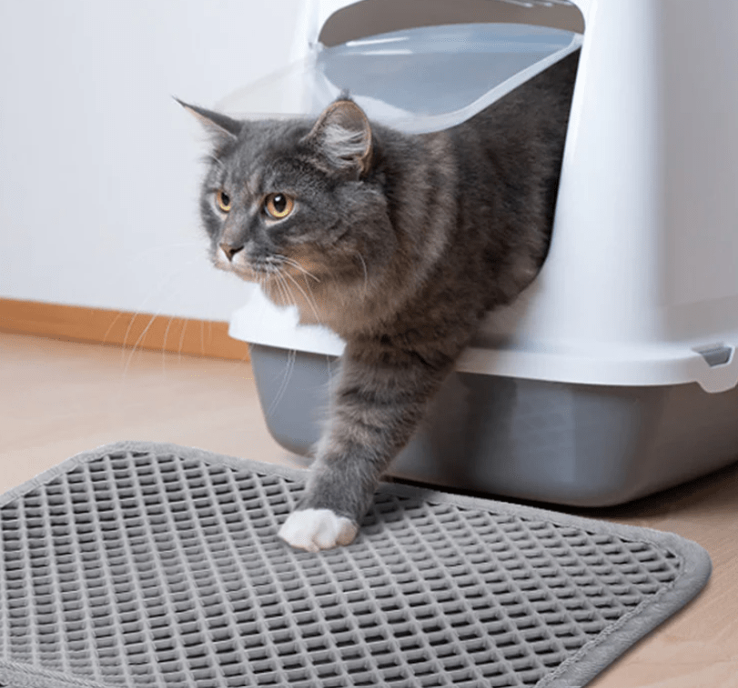 PetPurity Tappetino per Lettiera a Nido d'Api