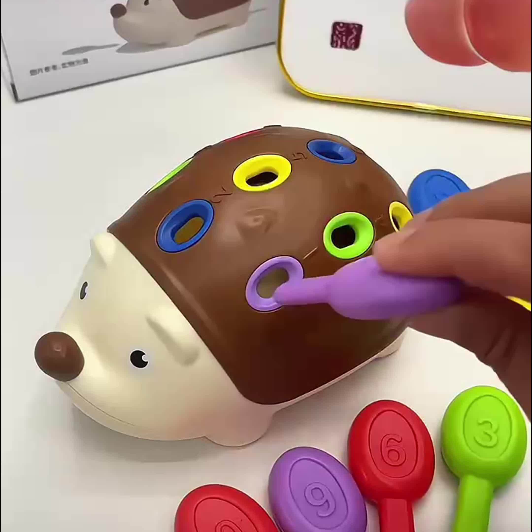 Riccio Educativo Giocattolo - Impara e Gioca