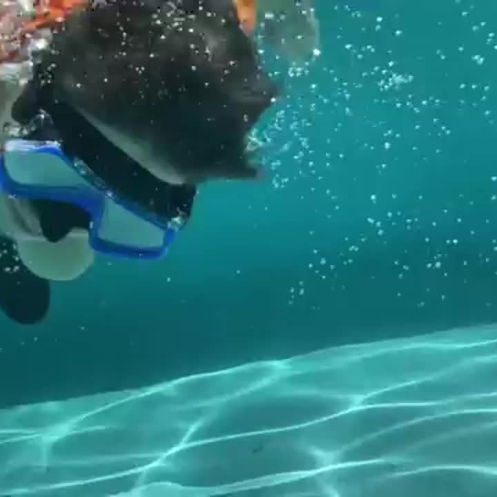 AquaClear Set da Snorkeling – Impermeabile, Confortevole e Con Ampia Visibilità