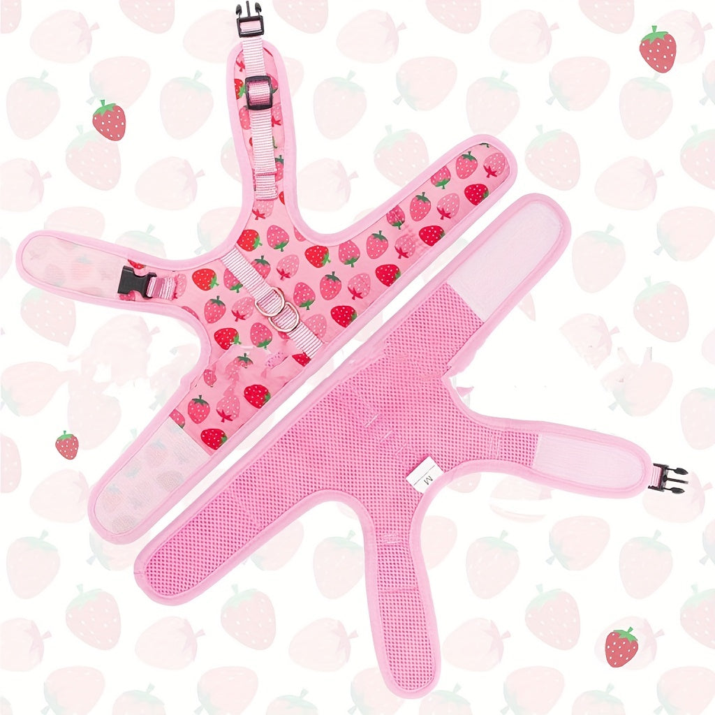 KittyComfort Set di Imbracature - Per Passeggiate Confortevoli e Avventure