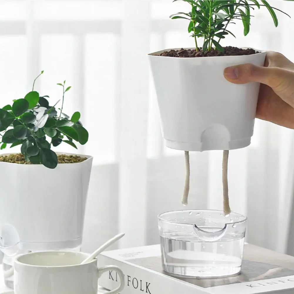 AquaPlanter - Vaso da fiori intelligente e mini acquario in uno