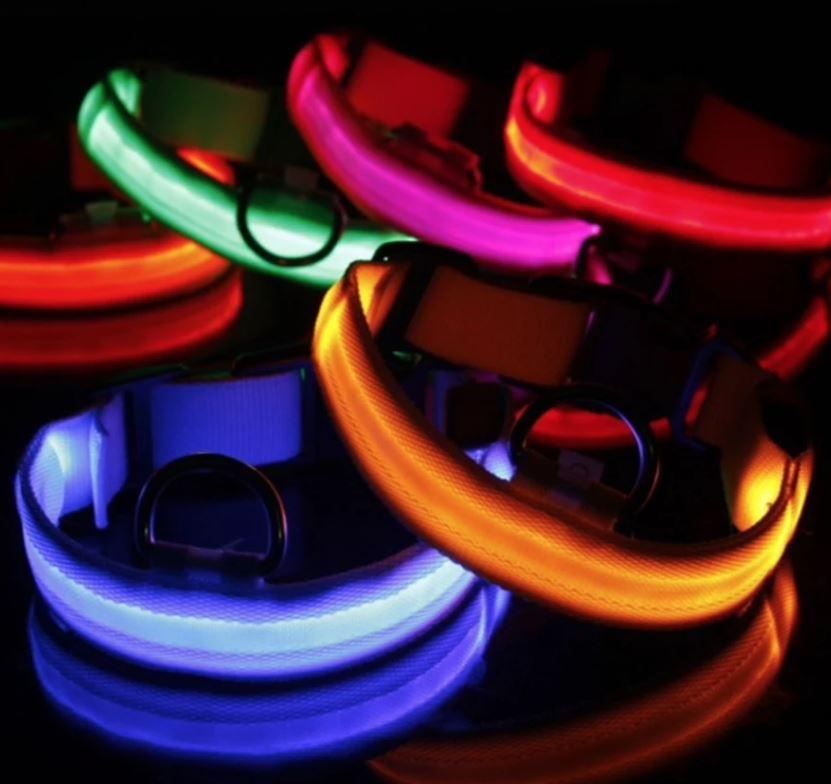 DogSafe Pro - Collare LED per cani - Sentiti al sicuro e alla moda durante le passeggiate