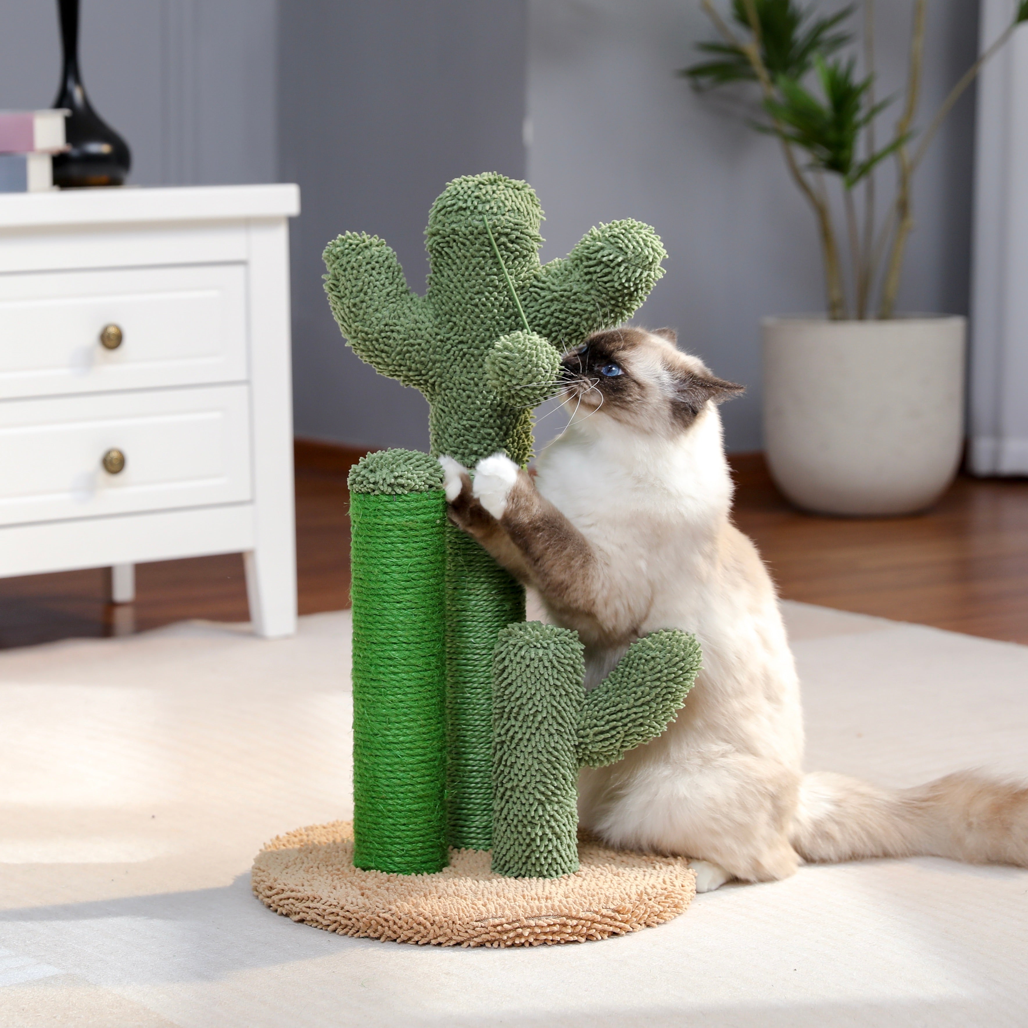 Cactus Tiragraffi – Giocoso e Funzionale per il Tuo Gatto