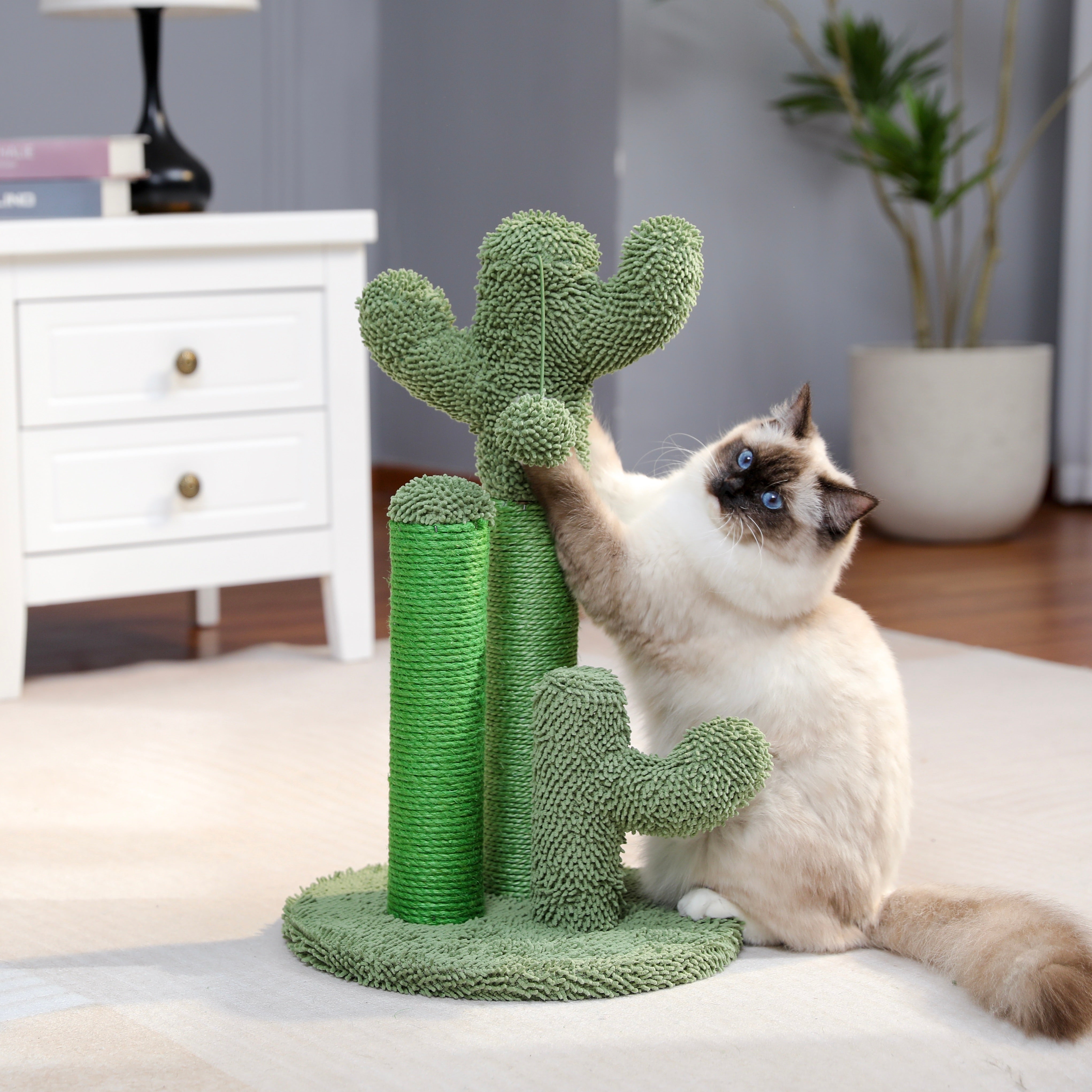 Cactus Tiragraffi – Giocoso e Funzionale per il Tuo Gatto