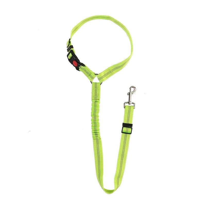 PetSafe - Cintura di Sicurezza Regolabile per Cani