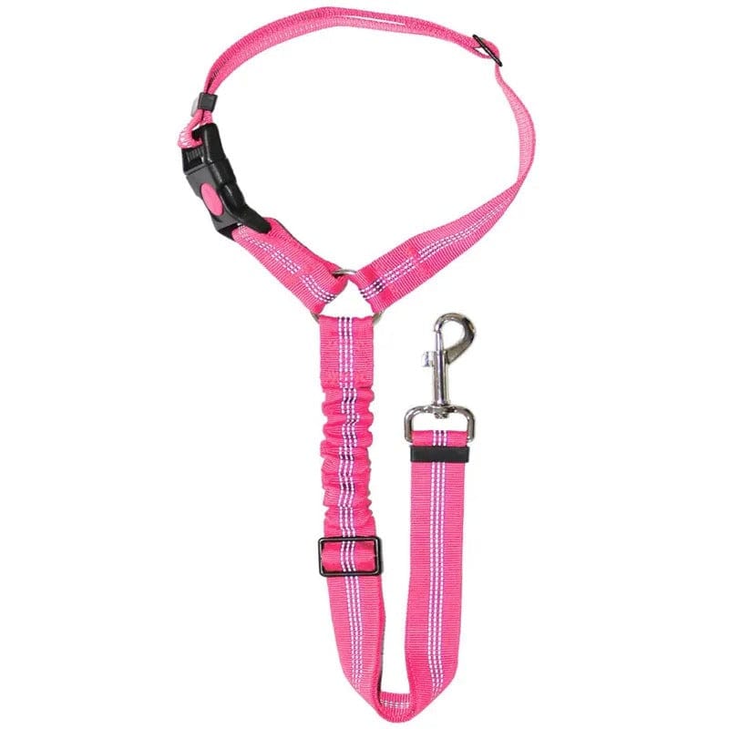 PetSafe - Cintura di Sicurezza Regolabile per Cani
