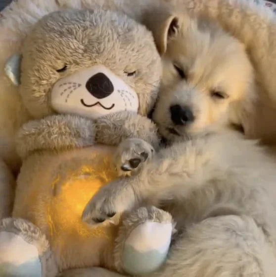 Orso Lavabile Calmante