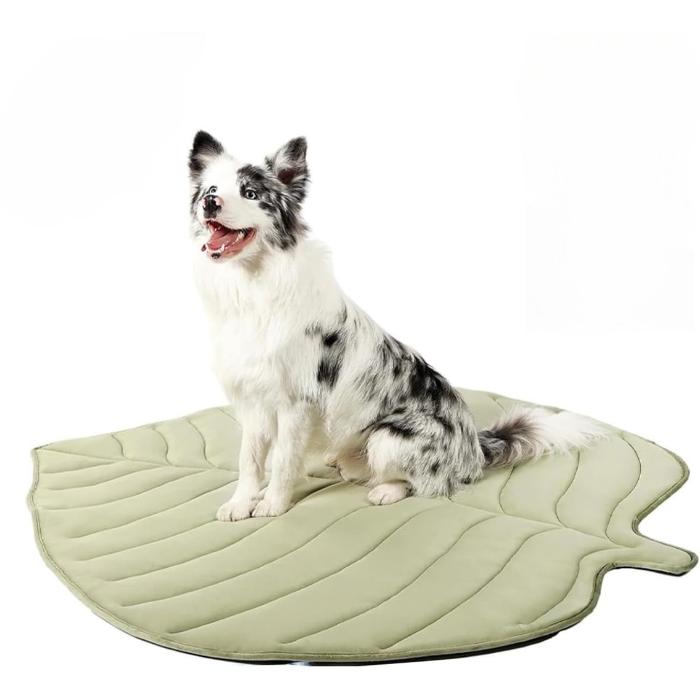 Materassino per Cani – Design Foglia Rinfrescante con Gel Refrigerante Sicuro