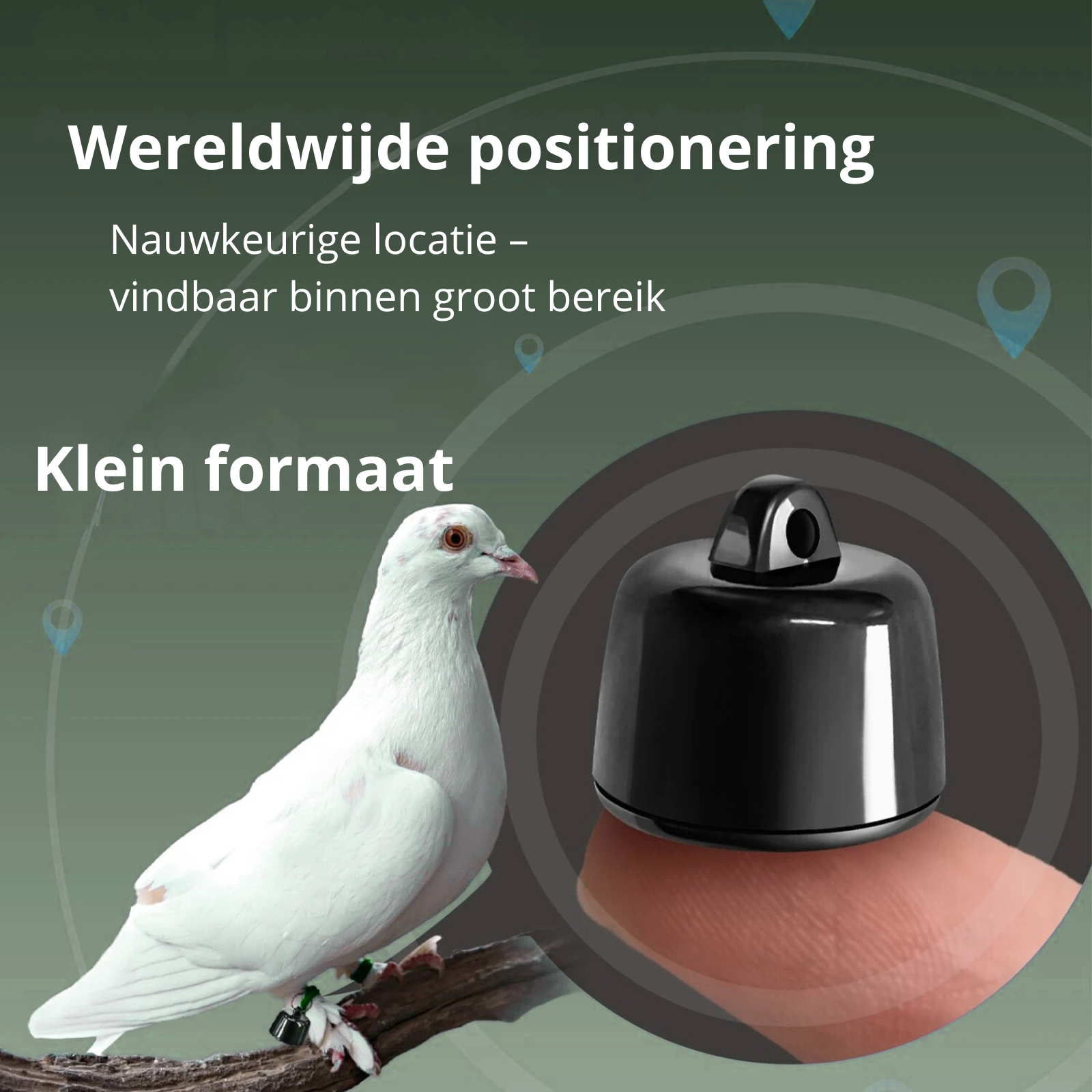 PetTrace Mini Tracker – Localizzatore Bluetooth per Gatti, Cani e Piccoli Animali Domestici