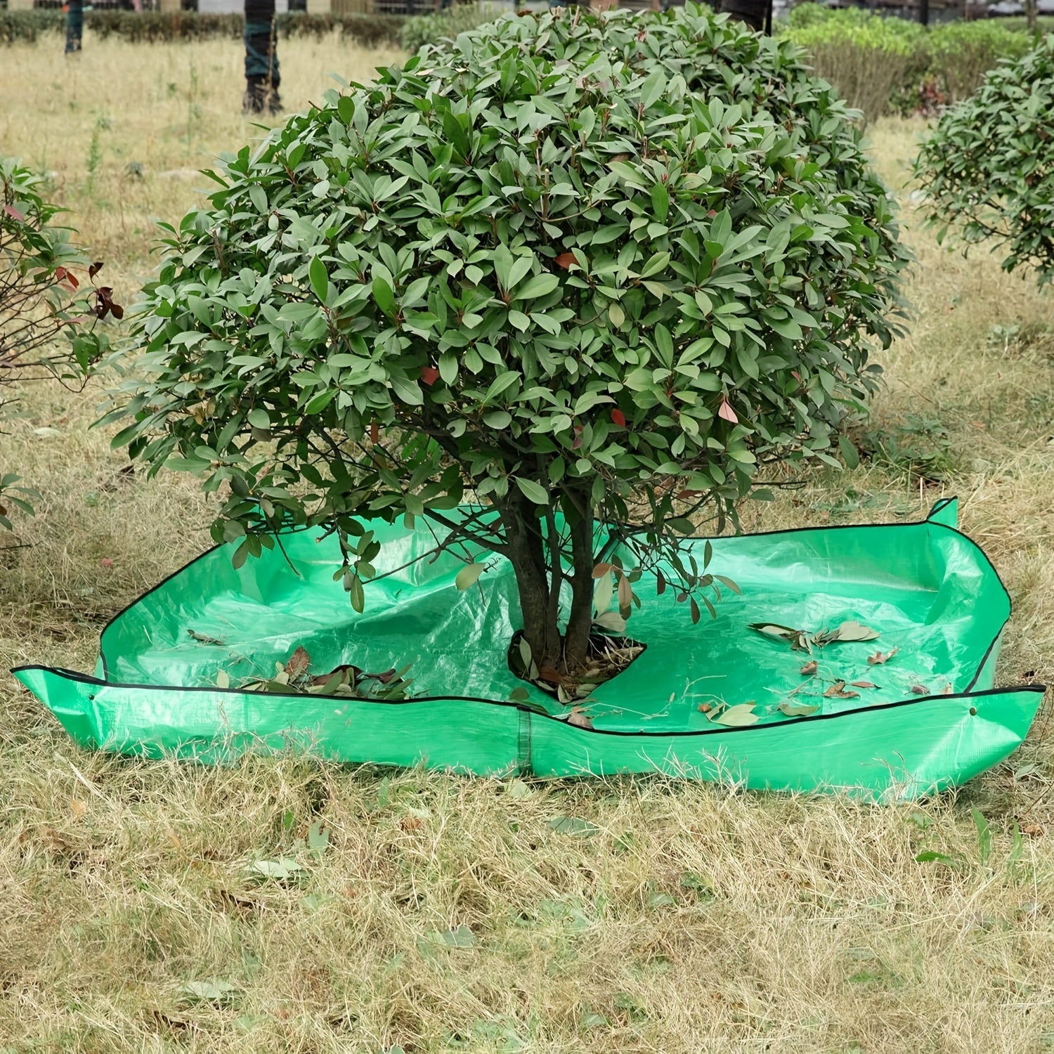 Telo da Giardino Grande con Fessura per Albero – Impermeabile, Riutilizzabile e Perfetto per Potature