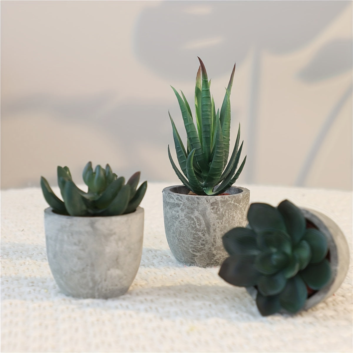 Set di Mini Piante Decorative in Cemento – Un Tocco Verde Elegante per Ogni Interno