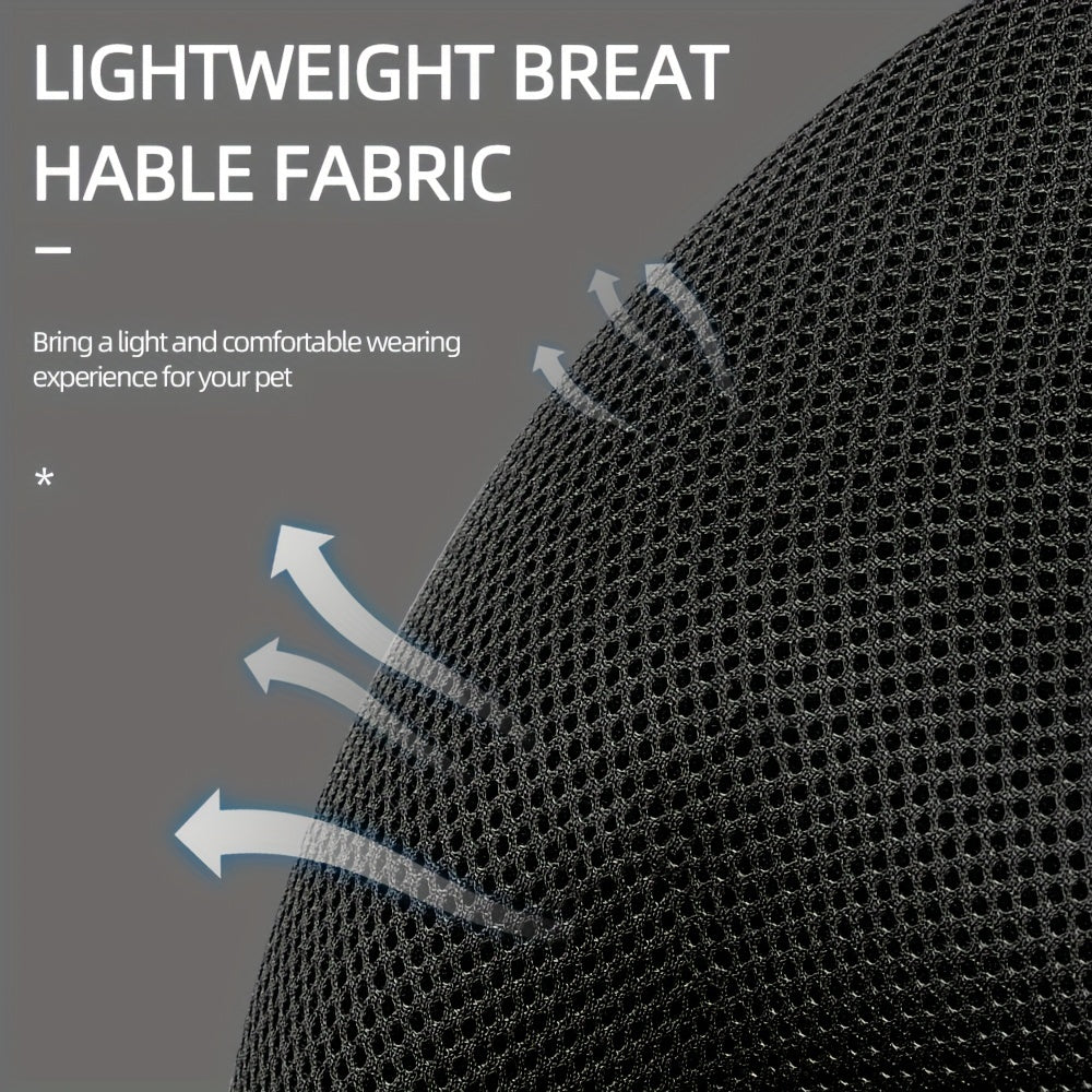 Imbracatura e Guinzaglio Riflettente per Gatti – Ideale per Passeggiate e Addestramento