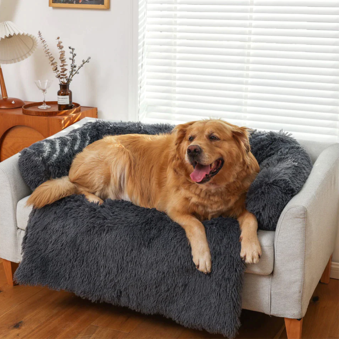 DogComfort Deluxe Plaid - Lusso e Protezione per i tuoi mobili