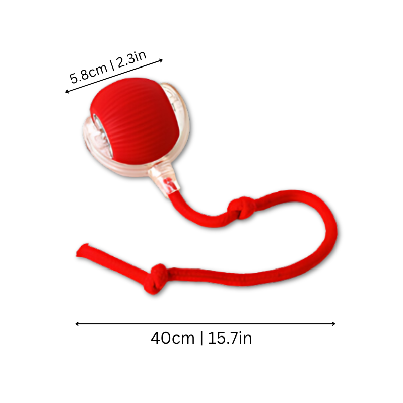 Palla Giocattolo per Gatti - Esperienza di Gioco Attiva per il Tuo Gatto