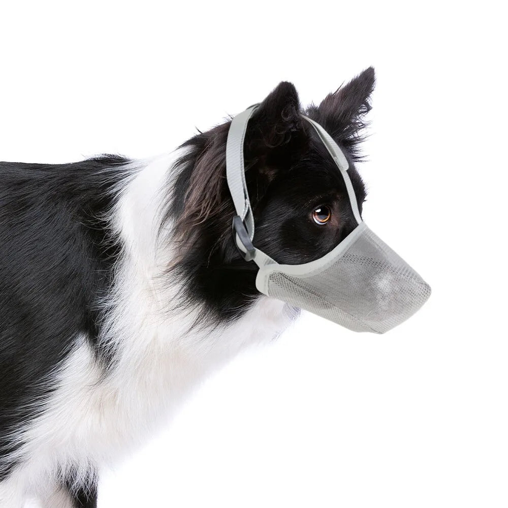 AirMesh Muzzle – Morso Morbido e Confortevole per Cani