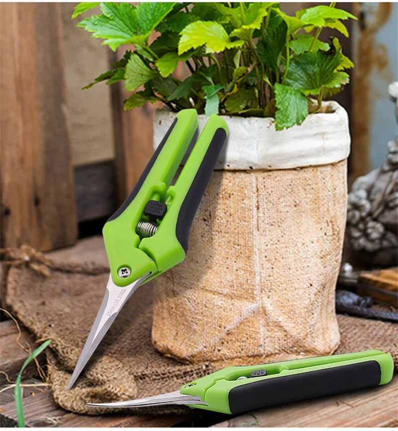 GreenCut Forbice da Giardino 6,5 Pollici – Ergonomica e Robusta