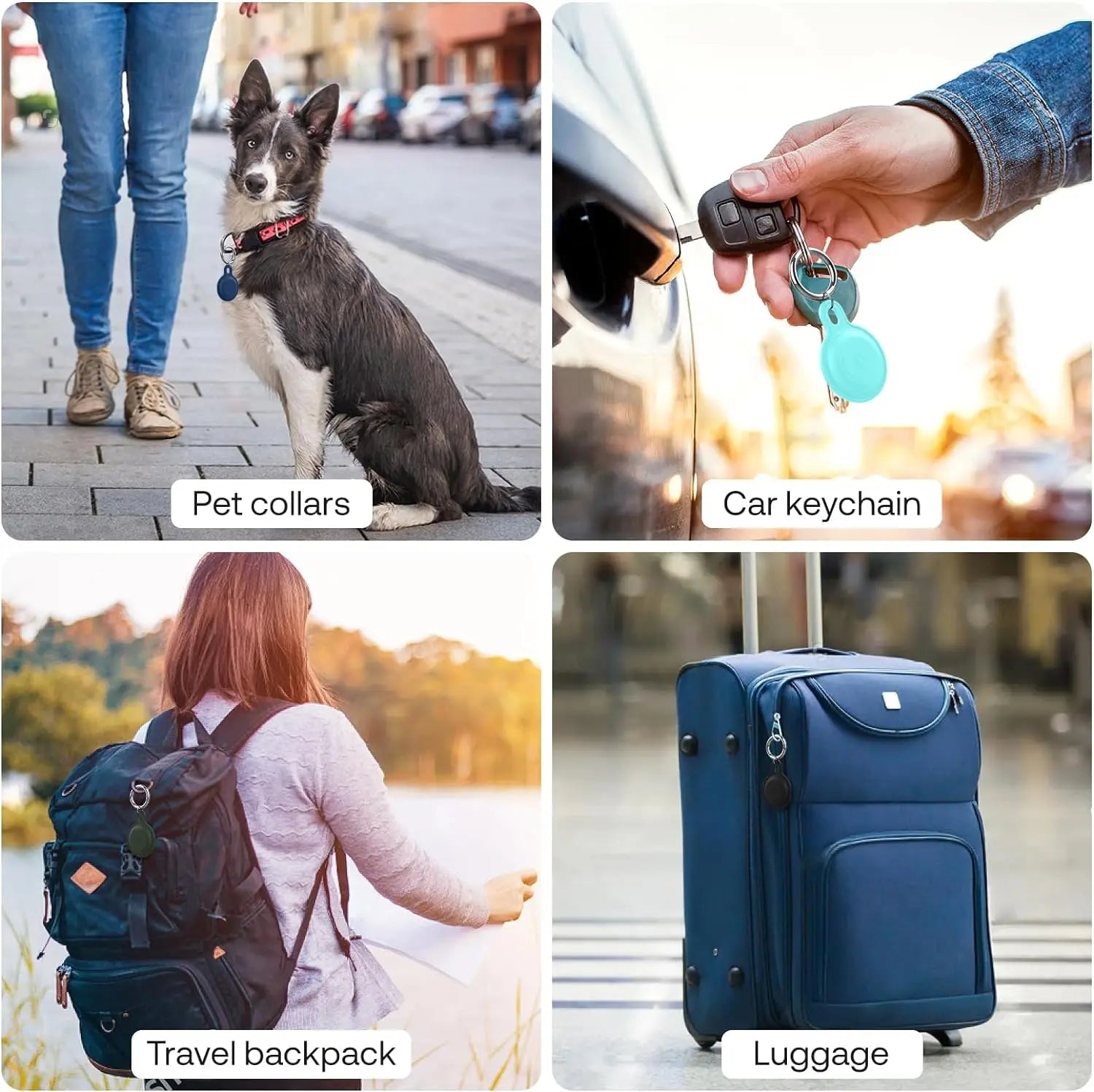 Ziggy Tracker per Animali Domestici – Per Avventure Senza Preoccupazioni