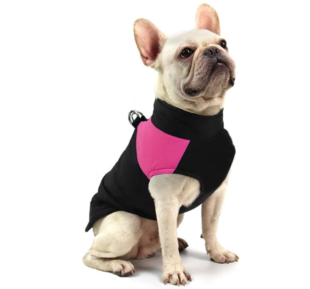 CozyPaws Giacca per Cani - Calda e Impermeabile