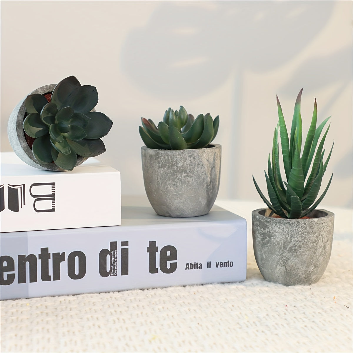 Set di Mini Piante Decorative in Cemento – Un Tocco Verde Elegante per Ogni Interno