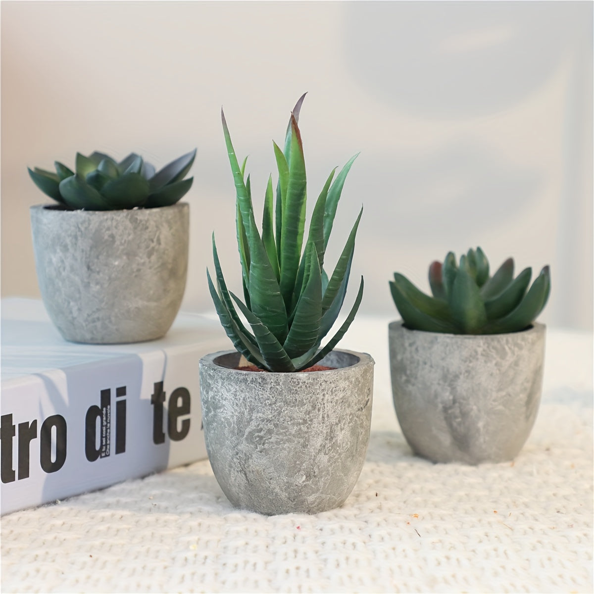 Set di Mini Piante Decorative in Cemento – Un Tocco Verde Elegante per Ogni Interno